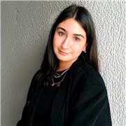 Cours de base en Webdesign, Graphisme